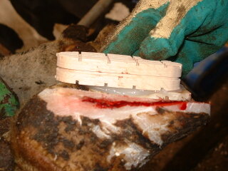 Klauwbekapmaterialen