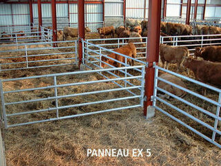 Equipements d’étables bétail viandeux